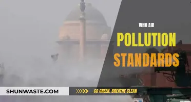 Air Pollution Standards: Who's Watching?