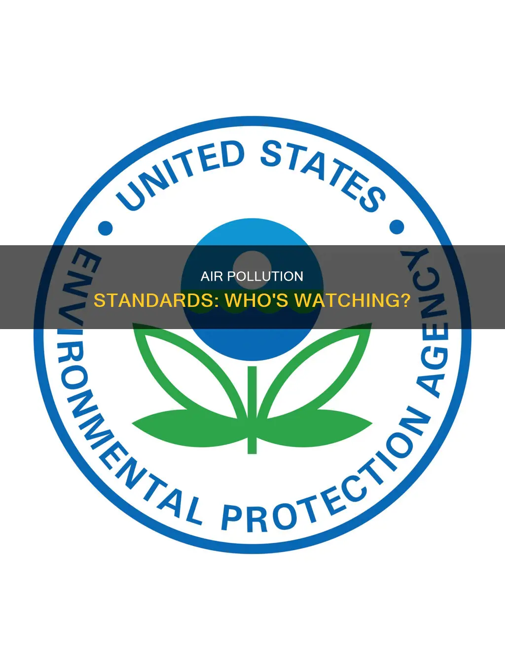who air pollution standards