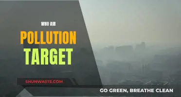 Air Pollution: Who Suffers?