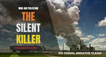 Air Pollution: A Quiet, Deadly Threat