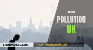 UK Air Pollution: Who's to Blame?
