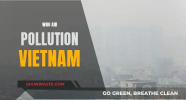 Air Pollution in Vietnam: Who's to Blame?