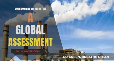 Air Pollution: Global Assessment and Ambient Impacts