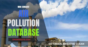 Air Quality Insights: Ambient Pollution Database Explained