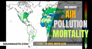 Air Pollution: A Silent Killer in Our Midst