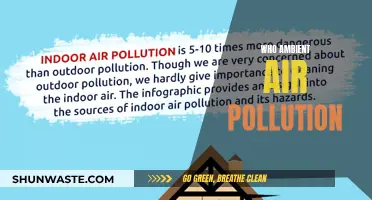 Ambient Air Pollution: A Silent Killer