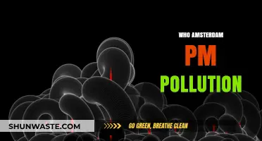 Amsterdam's PM2.5 Pollution Crisis: Causes, Impacts, and Solutions