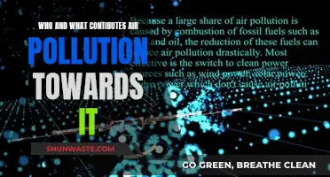 Causes of Air Pollution: People and Things to Blame