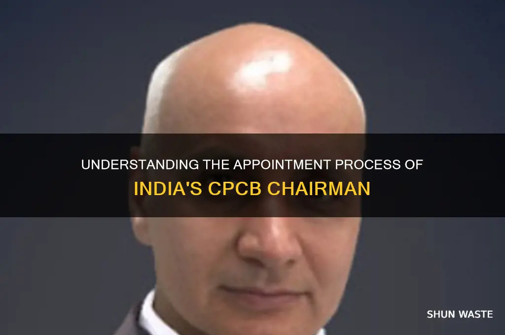 who appoints the chairman of the central pollution control board