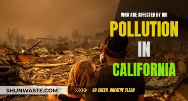 Air Pollution's Victims in California: Who Suffers?