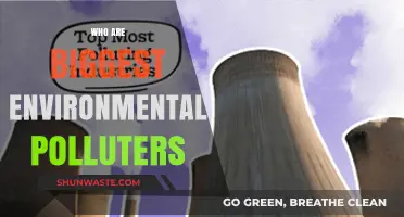 Unveiling the Top Environmental Polluters: Industries and Nations Leading the Crisis