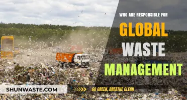 Who Bears the Brunt? Unraveling Global Waste Management Responsibilities