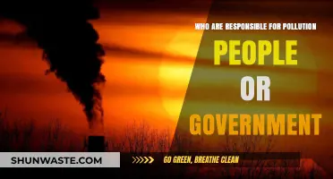 Pollution Crisis: People’s Actions vs. Government Responsibility – Who’s to Blame?
