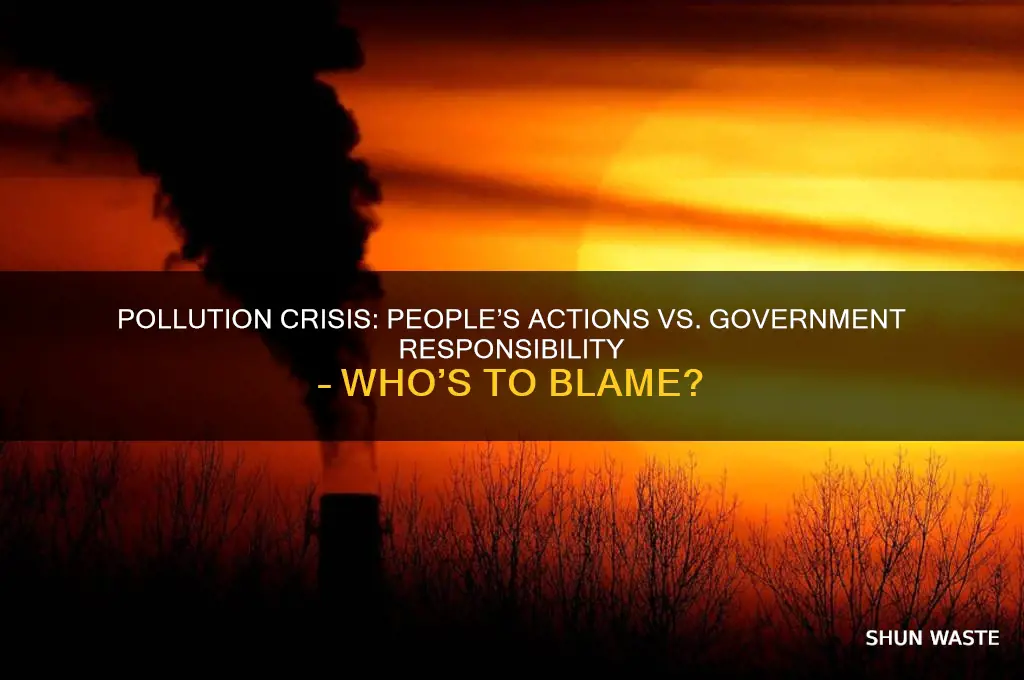 who are responsible for pollution people or government