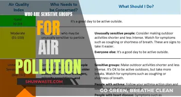 Air Pollution: Who's at Risk and Why?