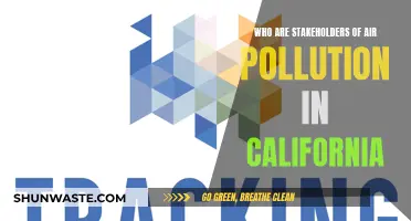 California's Air Pollution: Who Are the Stakeholders?