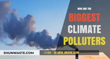 Unveiling the Top Climate Polluters: Industries and Nations Leading Emissions