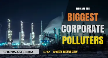 Unveiling the Top Corporate Polluters: Who's Harming Our Planet Most?