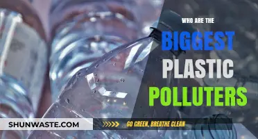 Unveiling the Top Corporate Culprits Behind Global Plastic Pollution Crisis