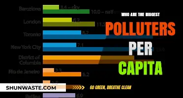 Per Capita Pollution: Unveiling the World's Top Environmental Offenders