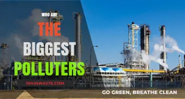 Unveiling the Top Global Polluters: Industries and Nations Leading Emissions