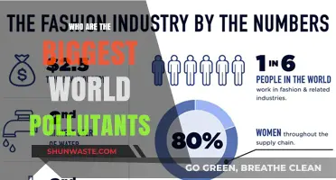 Unveiling the Top Global Polluters: Who's Harming Our Planet Most?