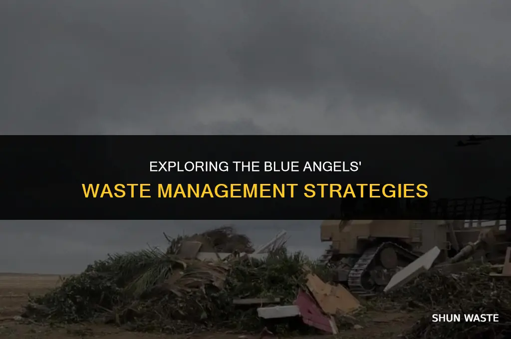 who are the blue angels waste management