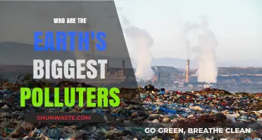 Unveiling the Top Culprits Behind Global Pollution and Environmental Degradation