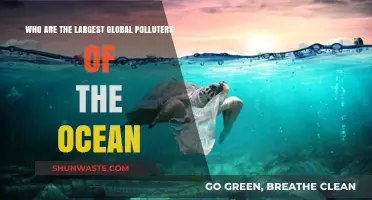 Unveiling the Top Ocean Polluters: A Global Environmental Crisis