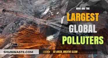 Unveiling the Top Global Polluters: Industries and Nations Leading Emissions