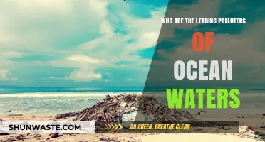 Unveiling the Top Ocean Polluters: Industries and Nations Trashing Our Seas