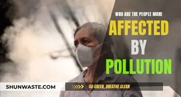 Pollution's Victims: Who Suffers the Most?