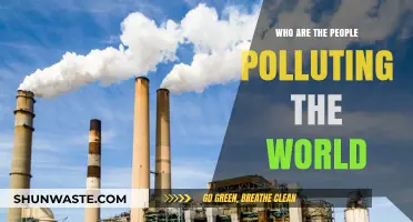 Unveiling the Culprits: Who's Really Polluting Our Planet?