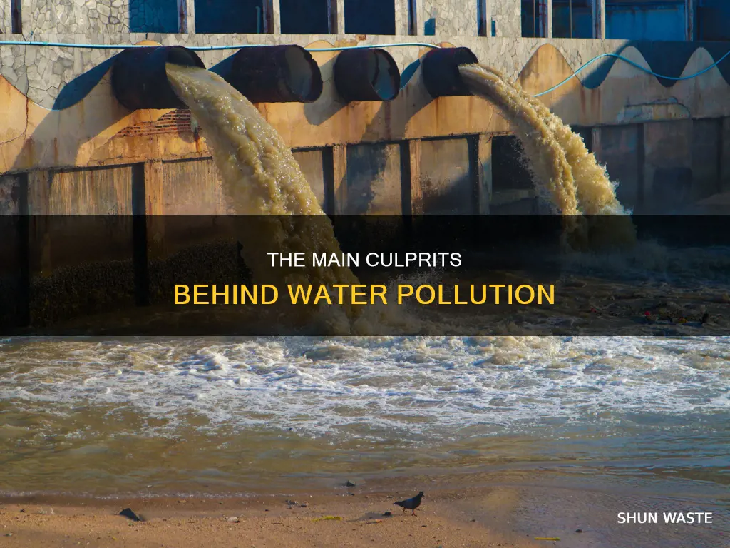 who are the pollutants of water pollution
