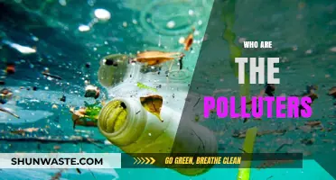 Unveiling the Culprits: Who Are the Polluters Behind Environmental Degradation?