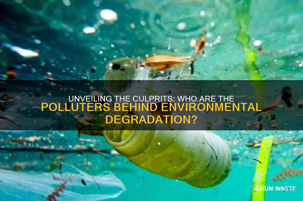 who are the polluters
