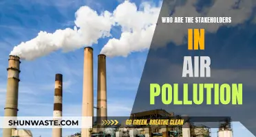 Air Pollution: Who's Affected and Why It Matters