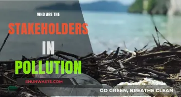 Identifying Key Stakeholders in the Fight Against Pollution
