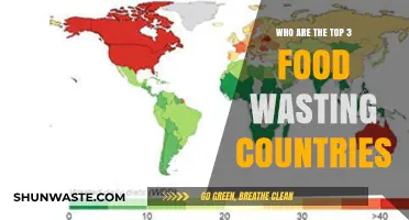 Global Food Waste: Spotlight on the Top Offenders