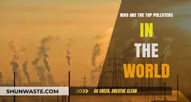 Global Pollution Crisis: Unveiling the World's Worst Environmental Offenders