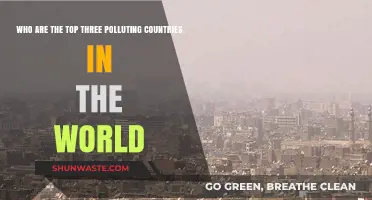Global Pollution Leaders: The Top Three Countries Revealing Environmental Impact