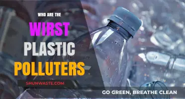 Unveiling the Top Corporate Culprits Behind Global Plastic Pollution Crisis