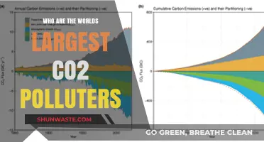Unveiling the Top Global CO2 Polluters: Who's Leading the Emissions?