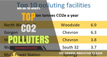Revealing the Biggest Global CO2 Polluters: Who Tops the List?