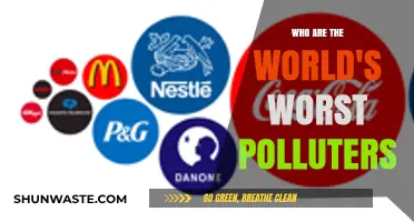 Unveiling the Top Global Polluters: Who's Destroying Our Planet?