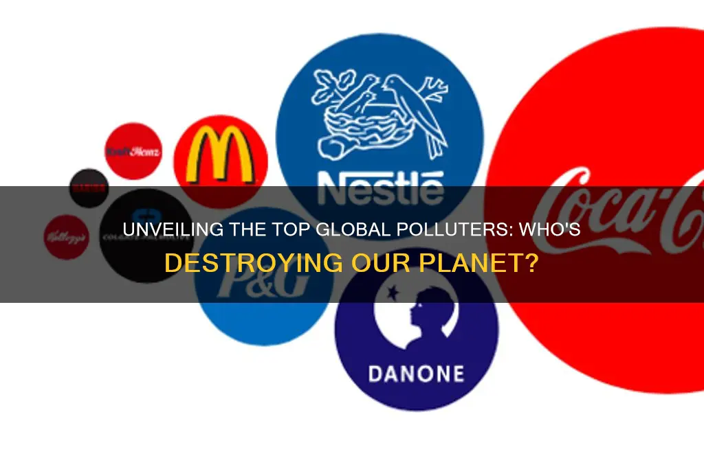 who are the world