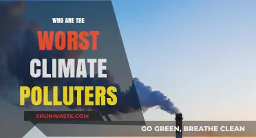 Unveiling the Top Climate Polluters: Industries and Nations Leading Emissions