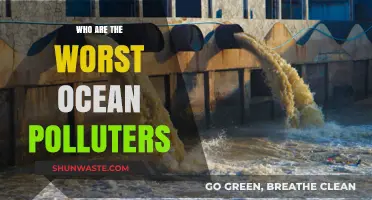 Unveiling the Top Ocean Polluters: Industries and Nations Trashing Our Seas