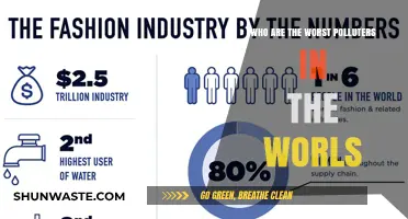 Unveiling the Top Global Polluters: Who's Destroying Our Planet?