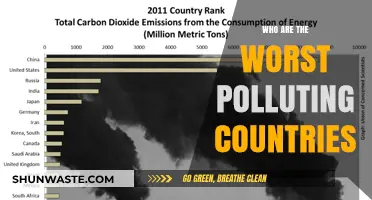 Global Polluters: Ranking the World's Worst Environmental Offenders
